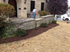 Mulch and Shrubs from Affordable Landscaping Supplies