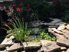 Ponds and Water Features from Affordable Landscaping Supplies